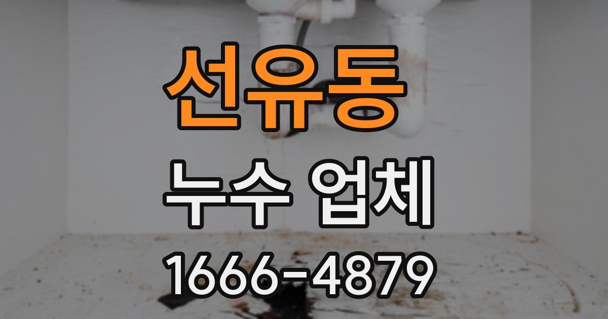선유동 누수 업체