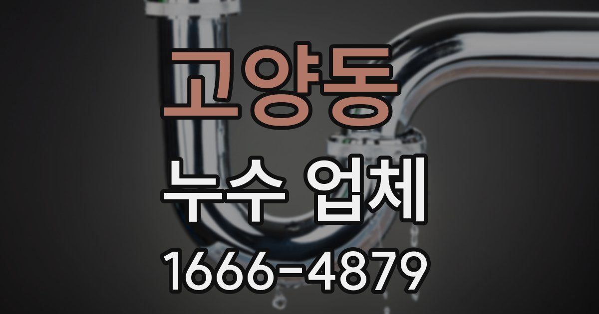 고양동 누수 업체