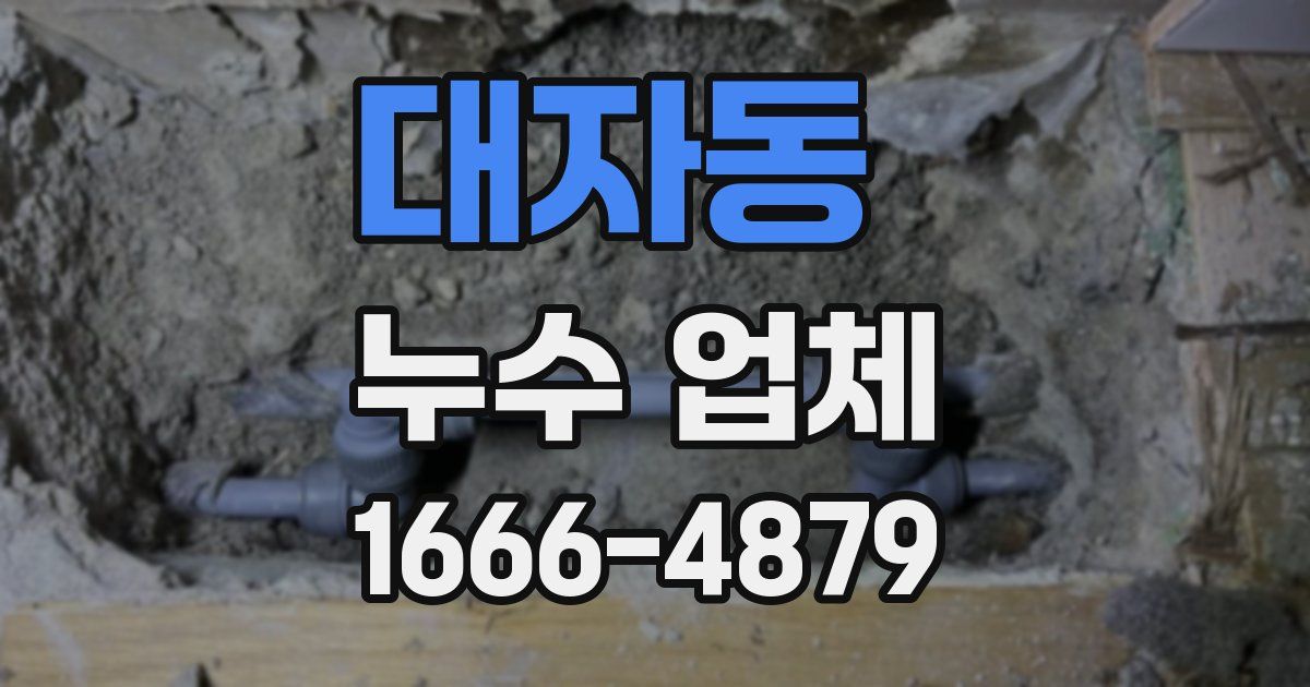 대자동 누수 업체