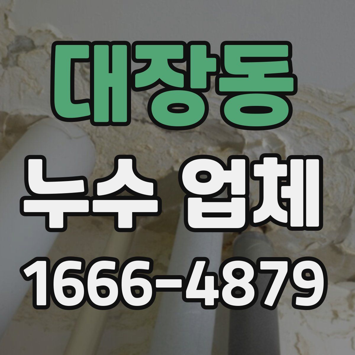 대장동 누수 업체