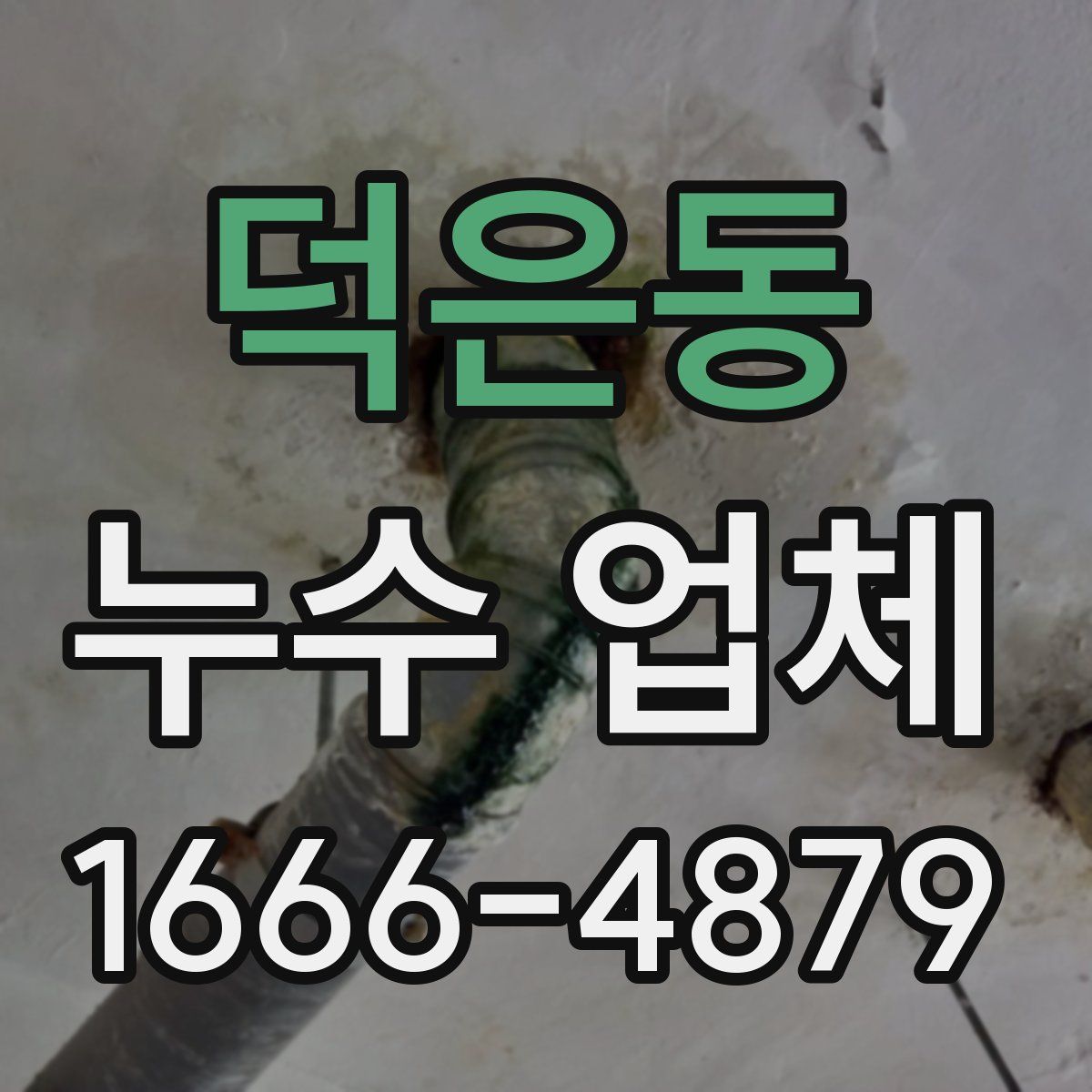 덕은동 누수 업체