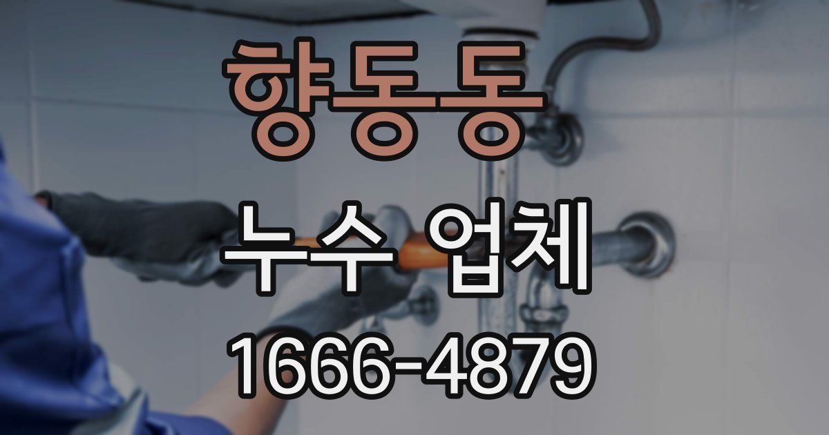 향동동 누수 업체
