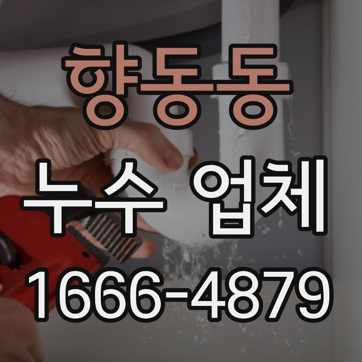 향동동 누수 업체