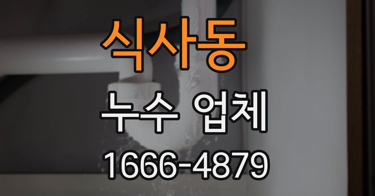 식사동 누수 업체