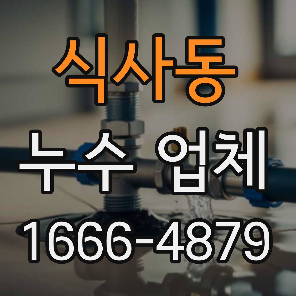 식사동 누수 업체