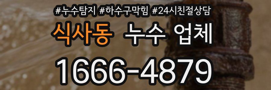 식사동 누수 업체