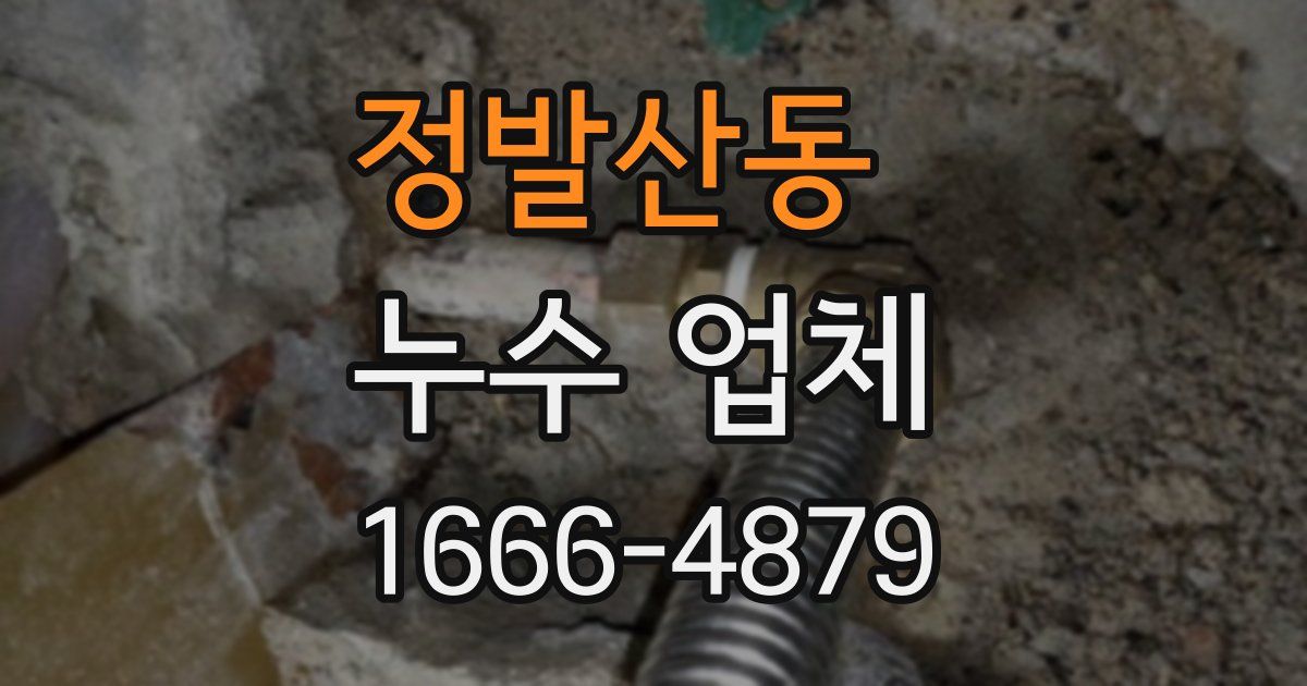 정발산동 누수 업체