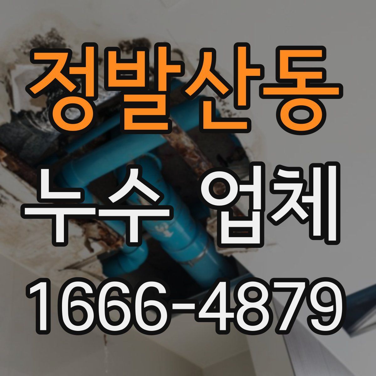 정발산동 누수 업체
