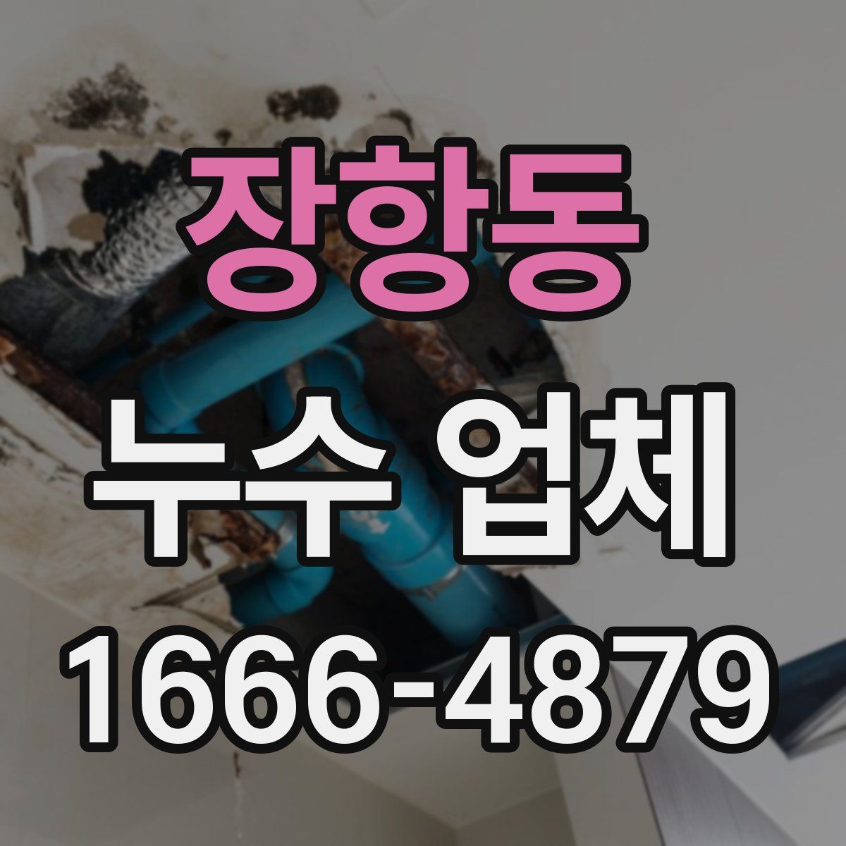 장항동 누수 업체
