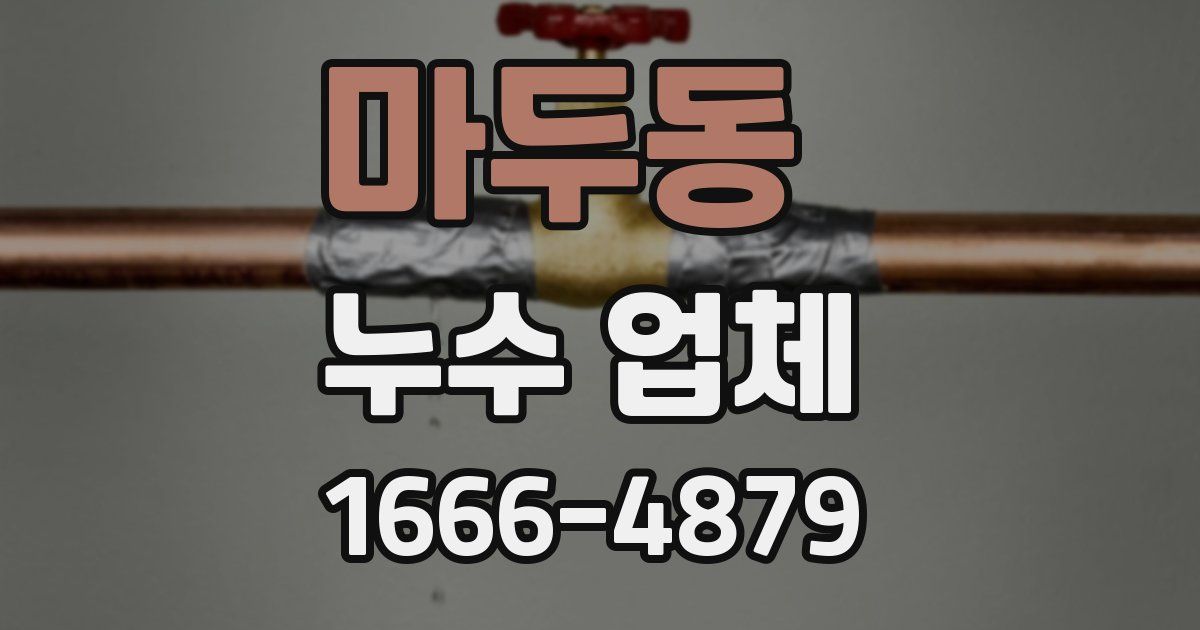 마두동 누수 업체