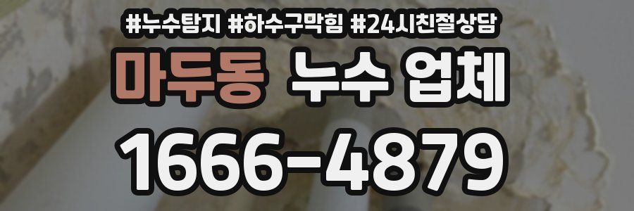 마두동 누수 업체