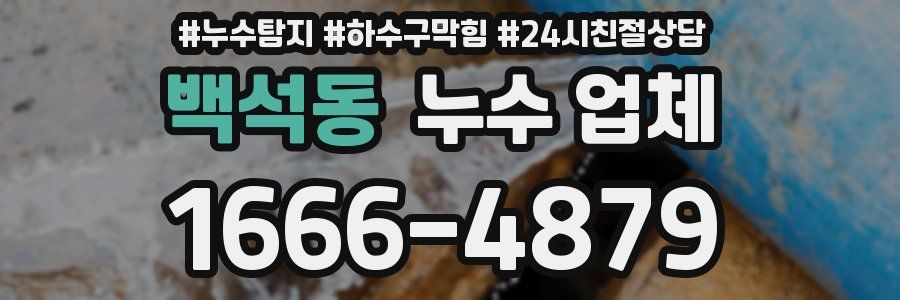 백석동 누수 업체