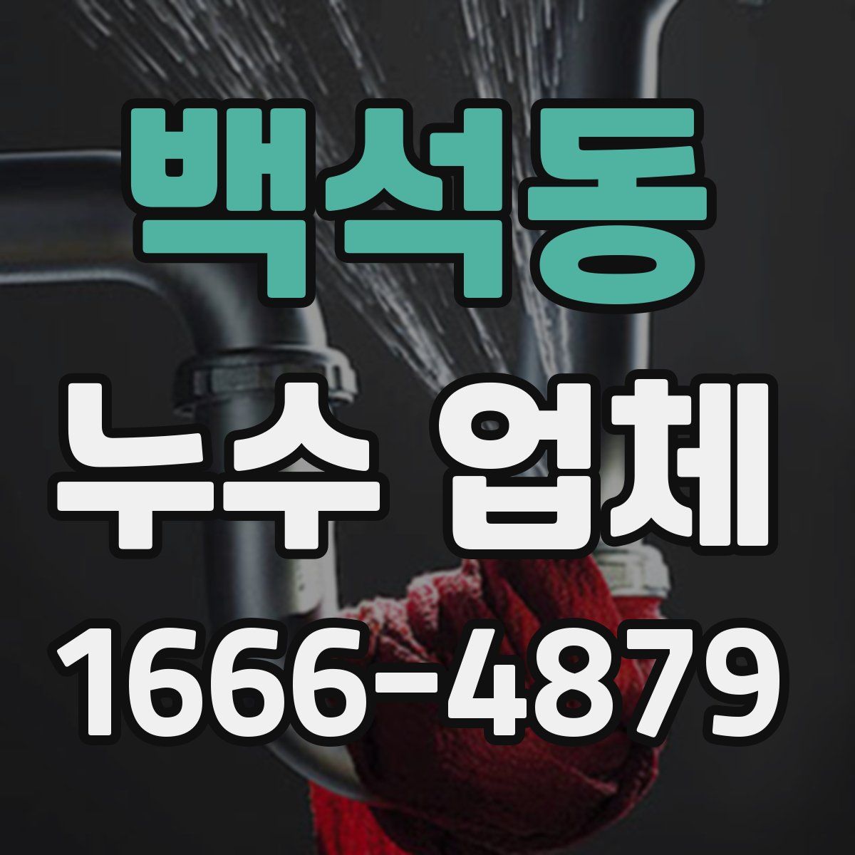 백석동 누수 업체