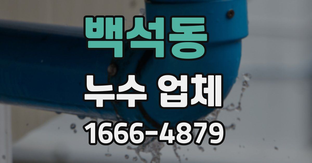 백석동 누수 업체