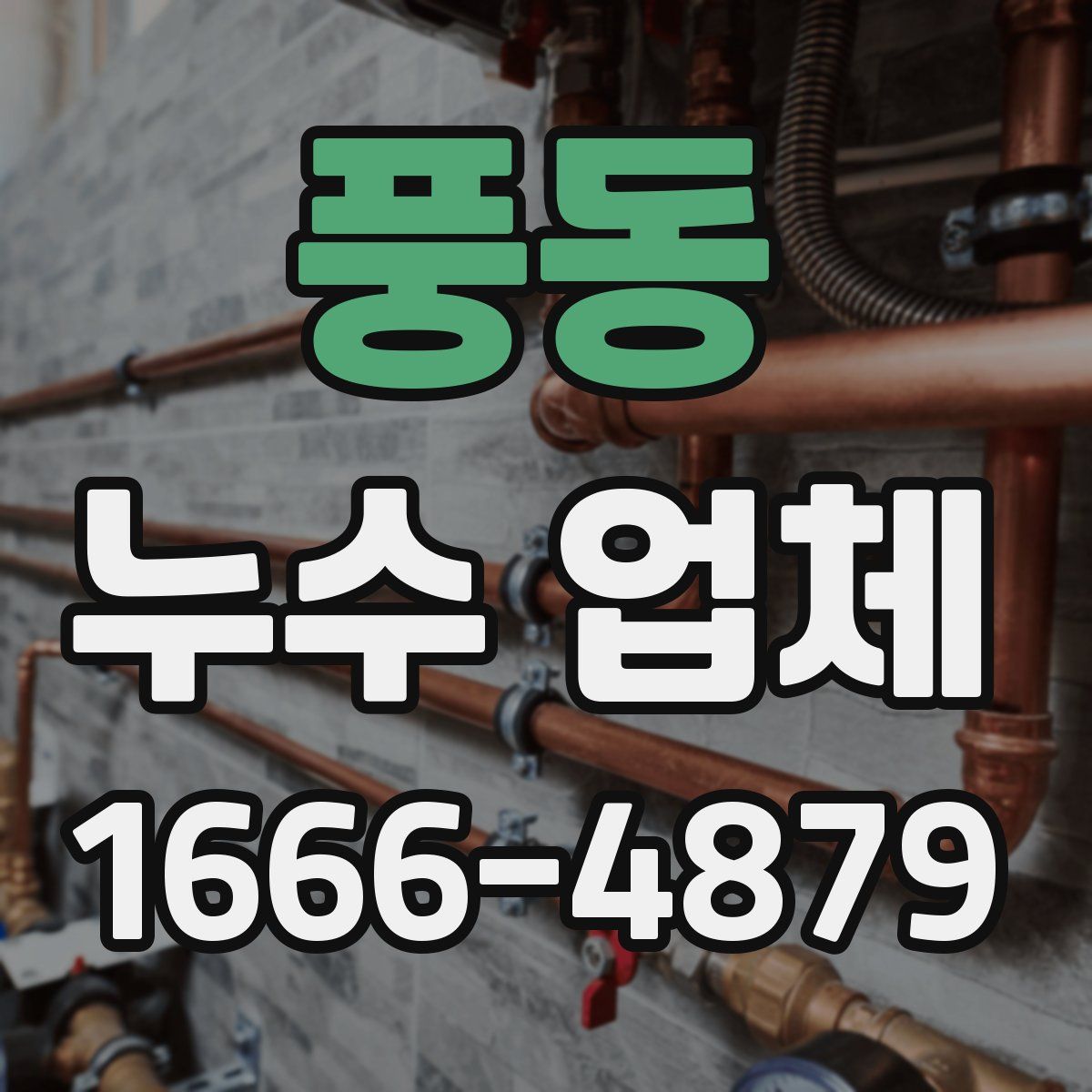 풍동 누수 업체