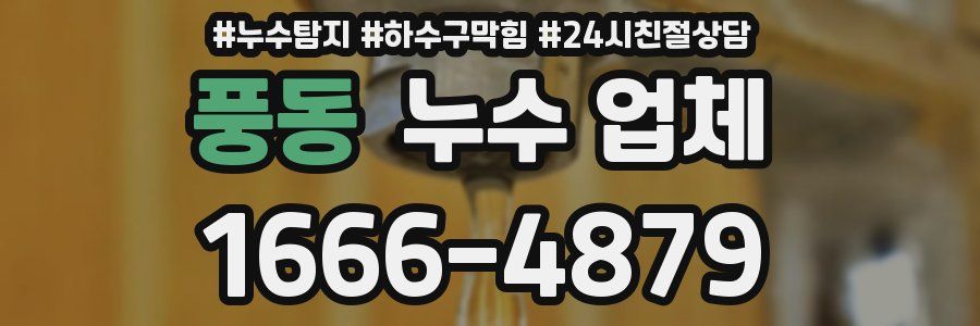 풍동 누수 업체