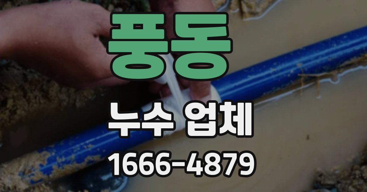풍동 누수 업체