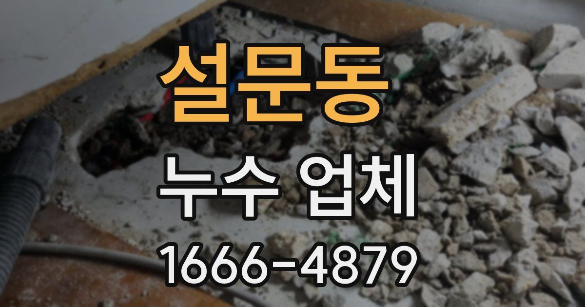 설문동 누수 업체