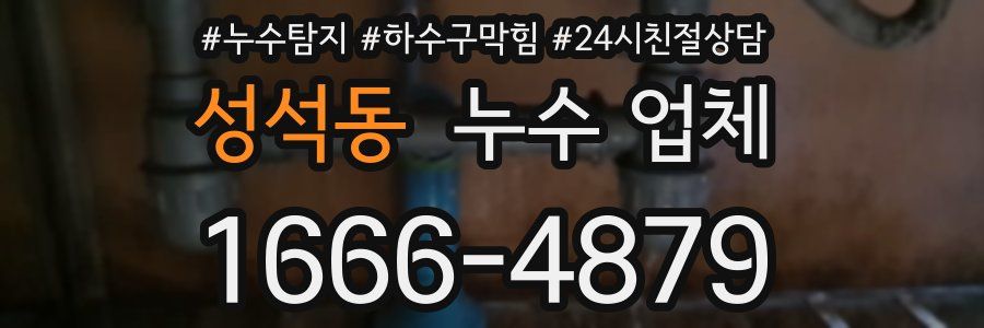 성석동 누수 업체