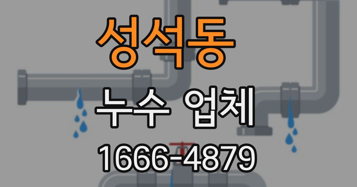 성석동 누수 업체