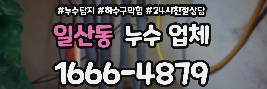 일산동 누수 업체