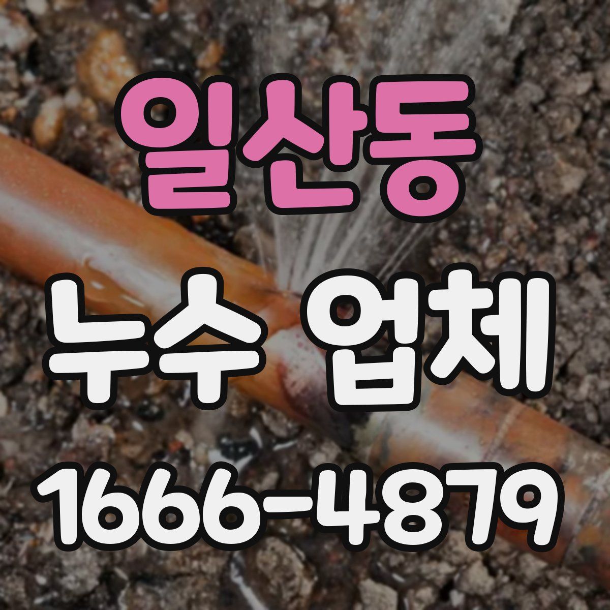 일산동 누수 업체