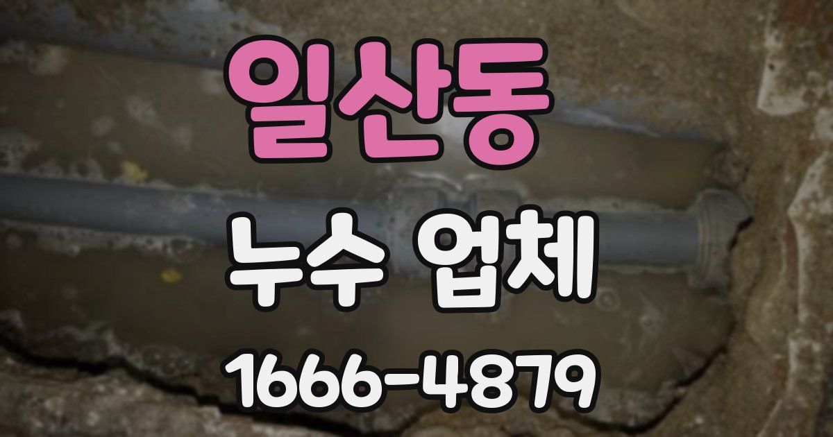일산동 누수 업체