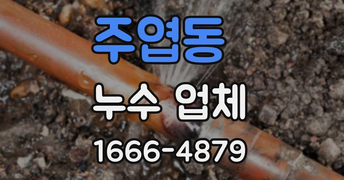 주엽동 누수 업체