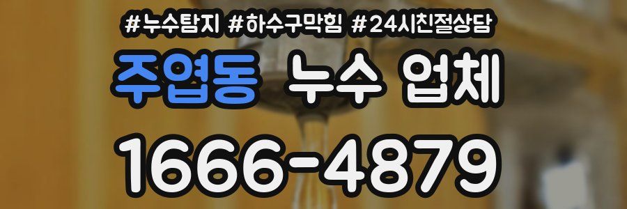 주엽동 누수 업체
