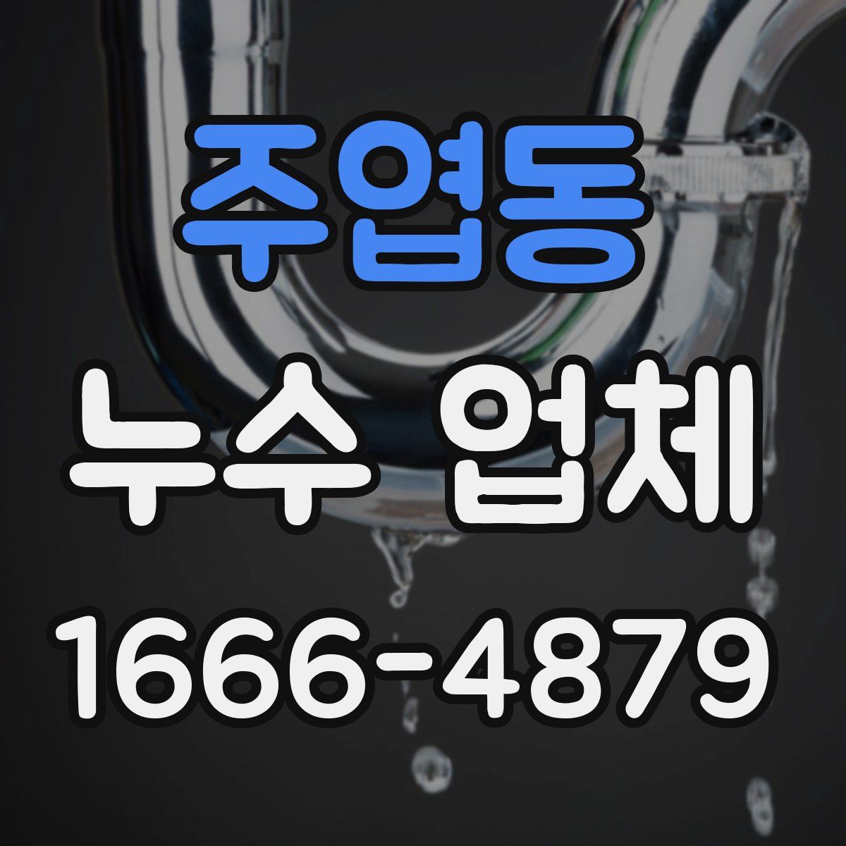 주엽동 누수 업체