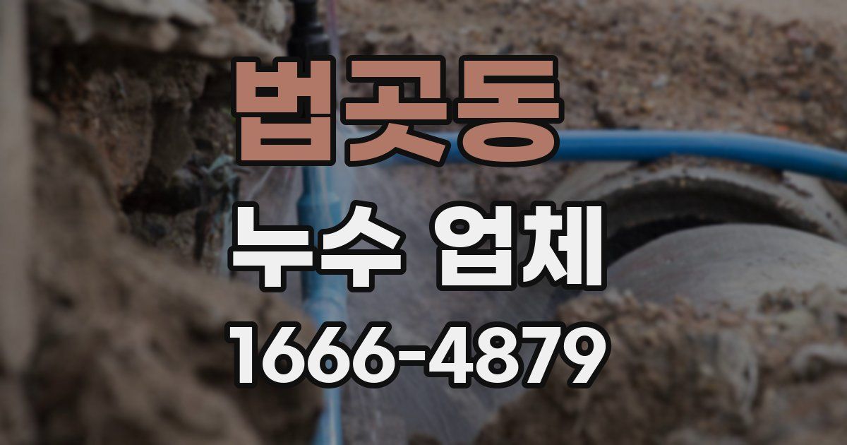 법곳동 누수 업체