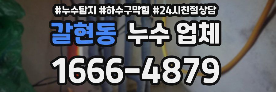갈현동 누수 업체