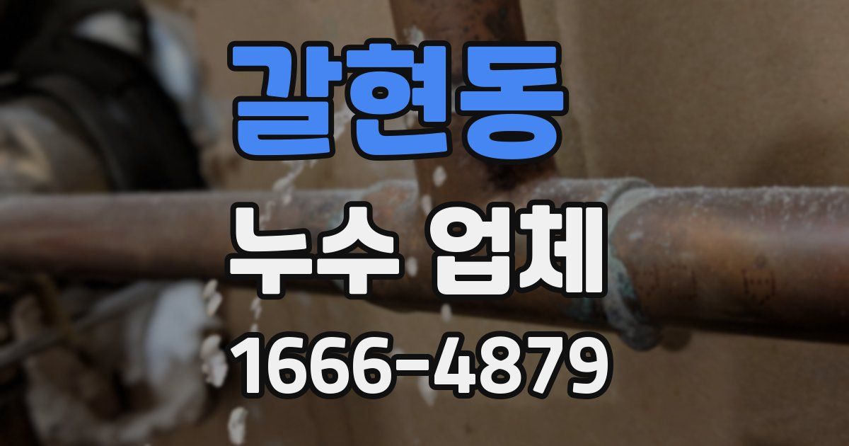 갈현동 누수 업체