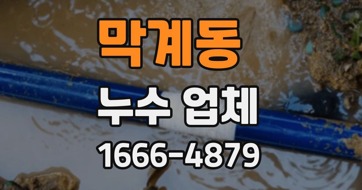 막계동 누수 업체
