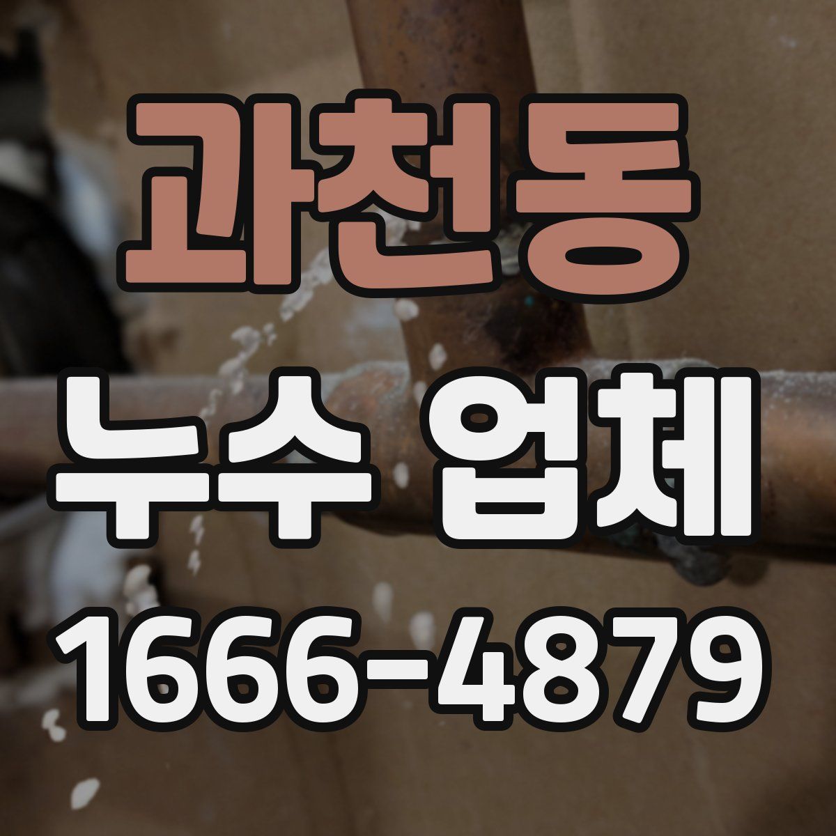 과천동 누수 업체