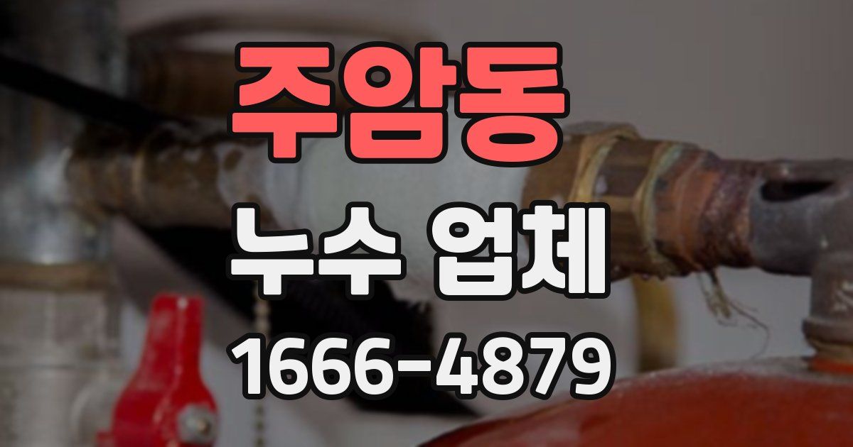 주암동 누수 업체