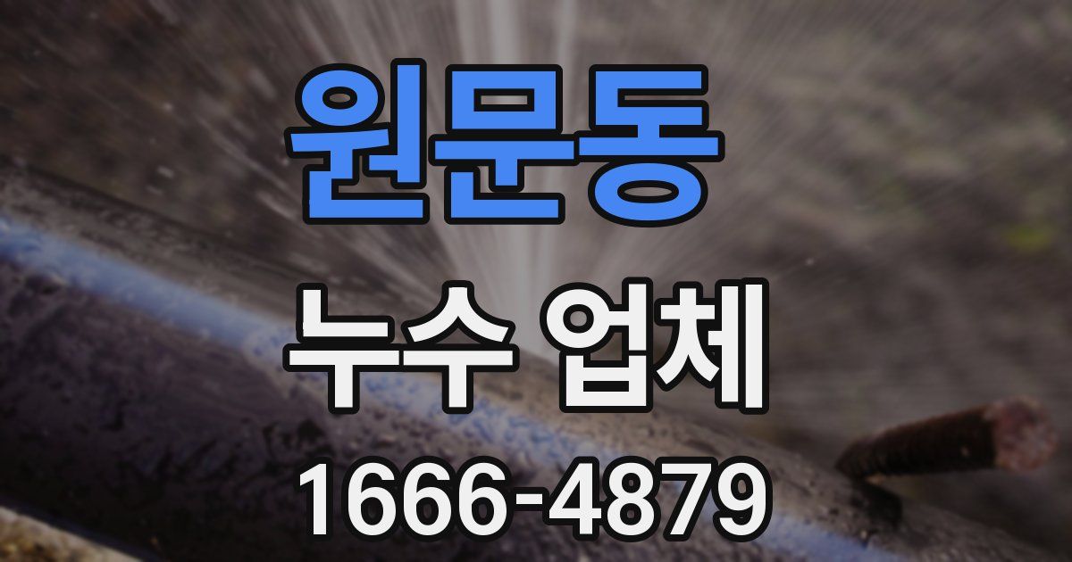 원문동 누수 업체