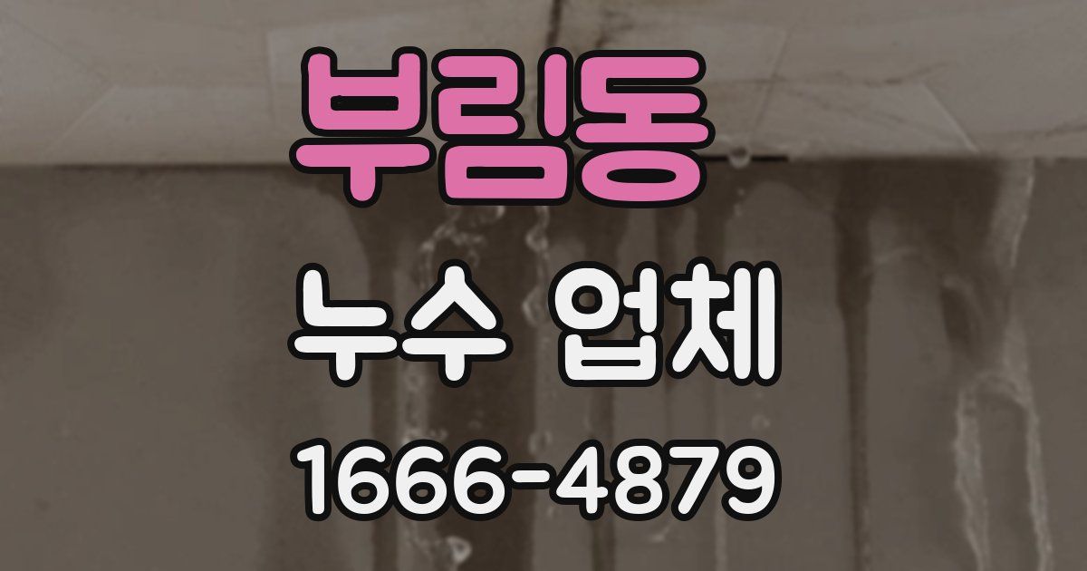 부림동 누수 업체