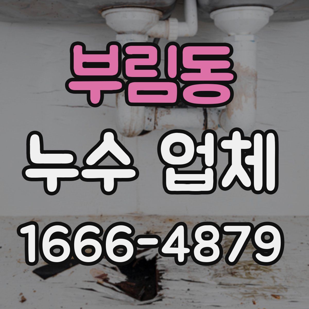 부림동 누수 업체