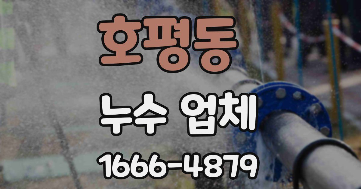호평동 누수 업체