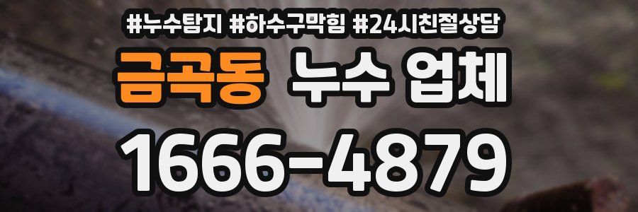 금곡동 누수 업체