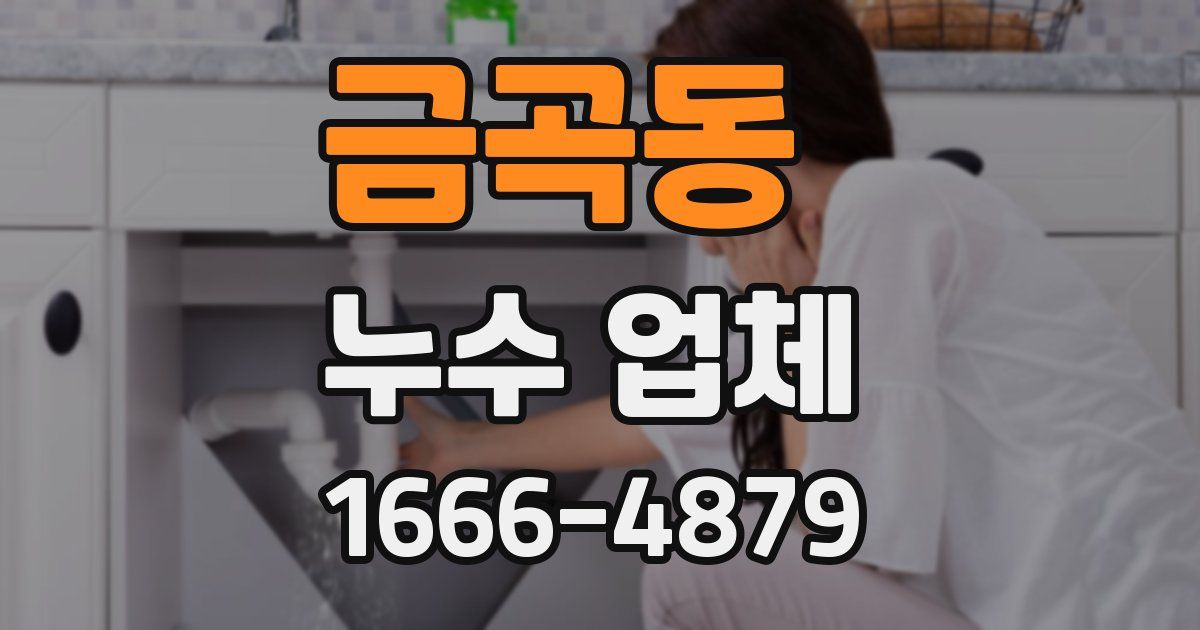 금곡동 누수 업체