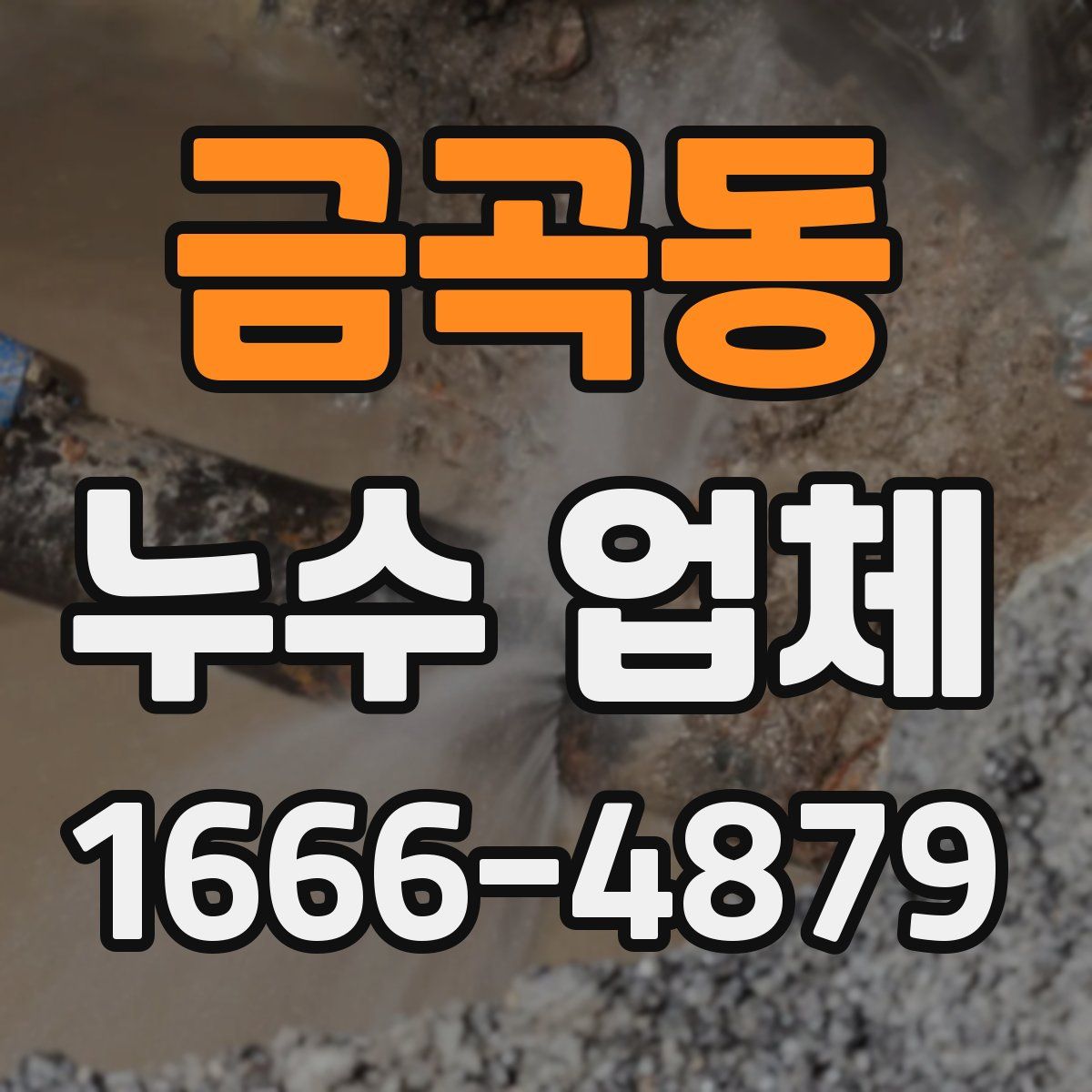 금곡동 누수 업체
