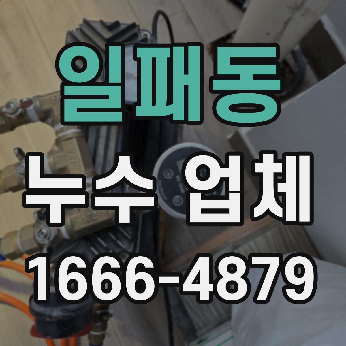 일패동 누수 업체