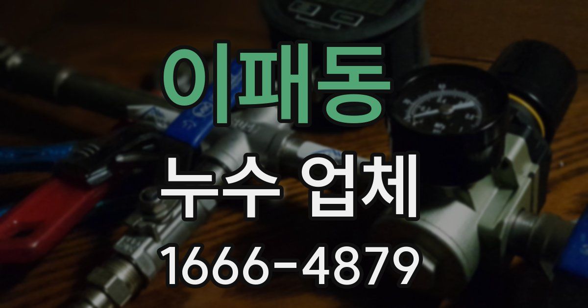 이패동 누수 업체