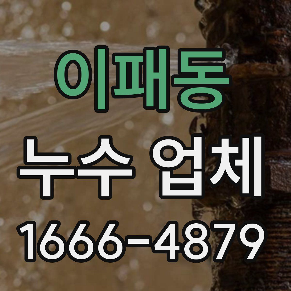 이패동 누수 업체