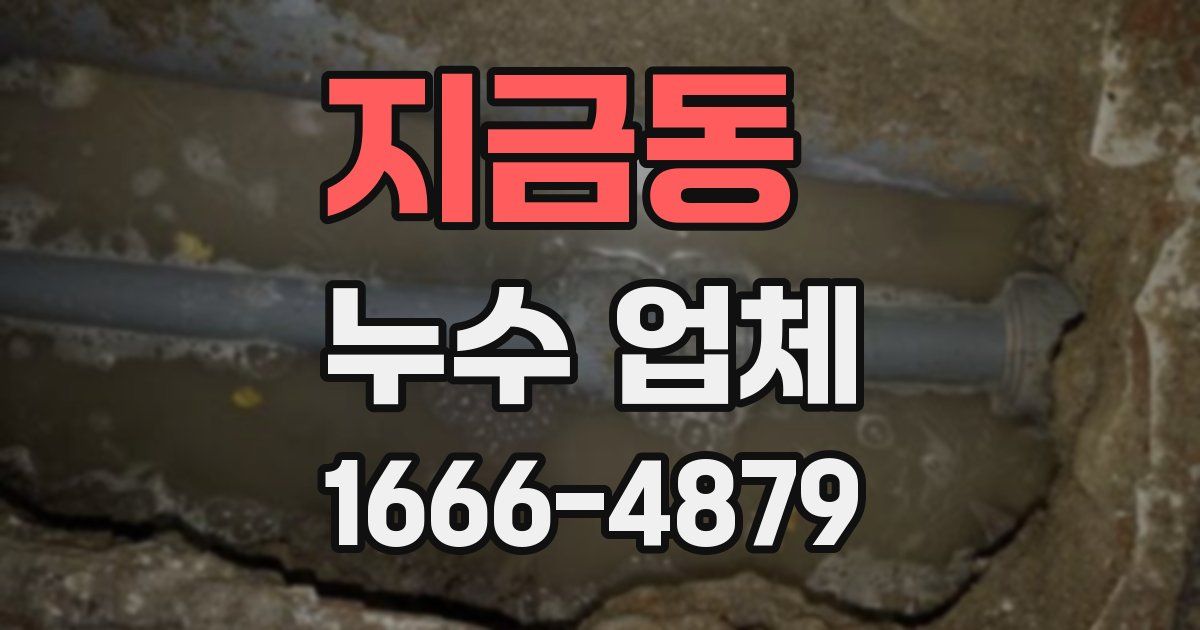 지금동 누수 업체