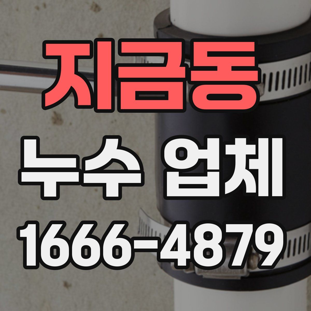 지금동 누수 업체