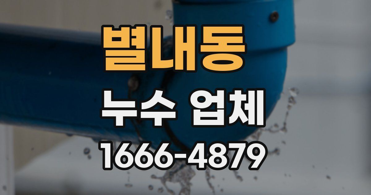 별내동 누수 업체