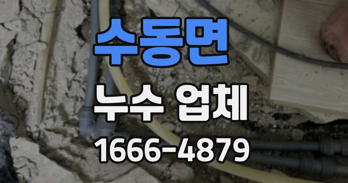 수동면 누수 업체